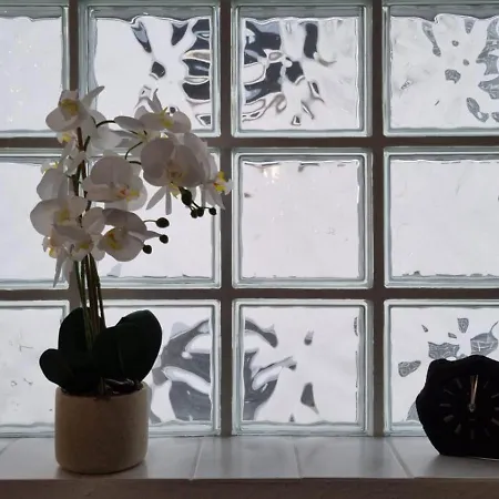 Appartement Moselzeit In