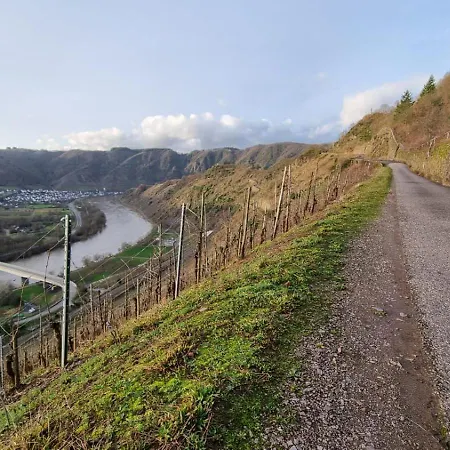 Appartement Moselzeit In