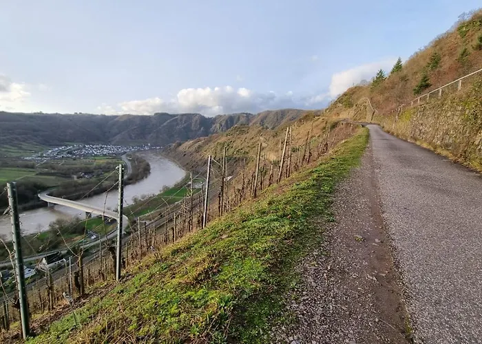 アパート Moselzeit In